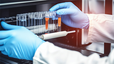 9999js金沙老品牌新材料股份有限公司